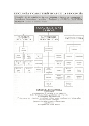 DOCUMENTO-3.pdf