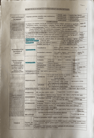 Morfologia-Basica.pdf