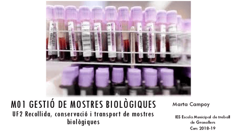 M01.UD2.NF2defemta.alumnes.pdf