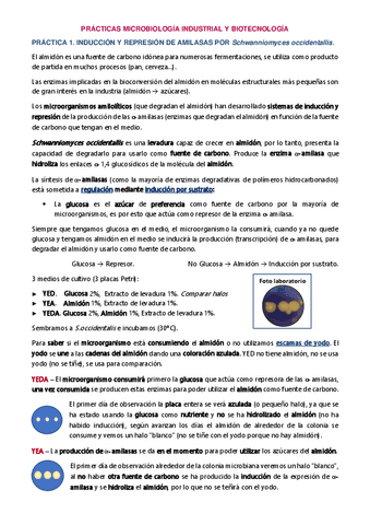 PRACTICAS-MICROBIOLOGIA-INDUSTRIAL con los ejercicios.pdf