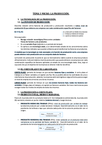 TEMA 3 MICRO (1º parcial).pdf