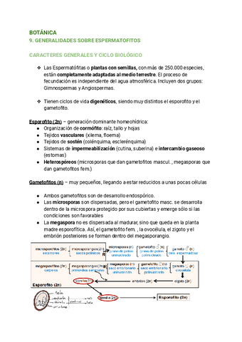 9.-GENERALIDADES-SOBRE-ESPERMATOFITOS.pdf