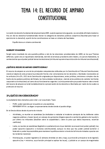 TEMA-14.pdf