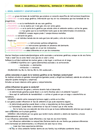 TEMA2.pdf
