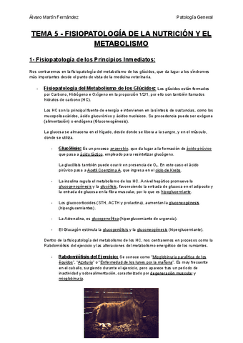 TEMA-5-FISIOPATOLOGIA-DE-LA-NUTRICION-Y-EL-METABOLISMO.pdf