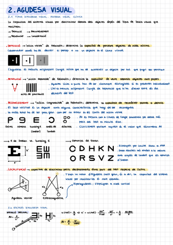 2.-agudesa-visual.pdf