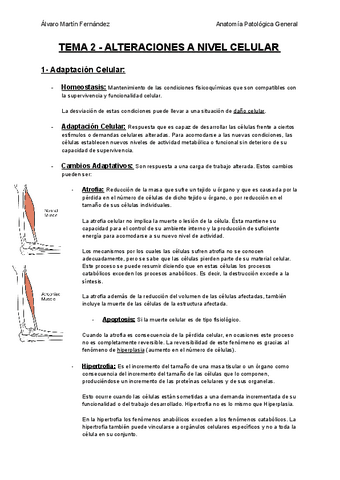 TEMA-2-ALTERACIONES-A-NIVEL-CELULAR.pdf