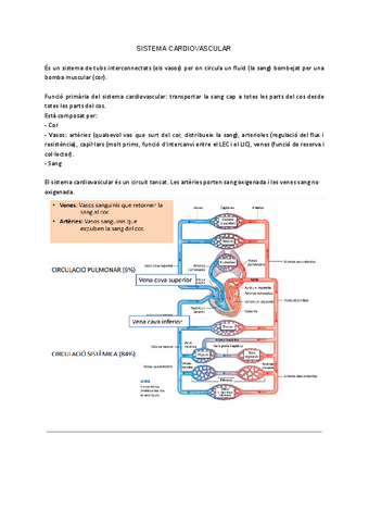 Sistema-cardiovascular-2.pdf