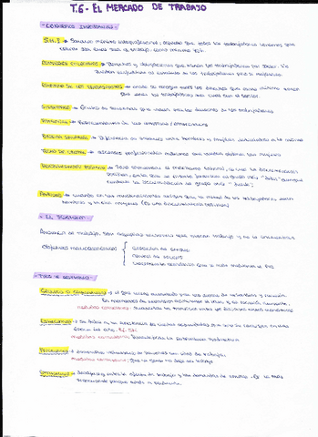 TEMA6EL-MERCADO-DE-TRABAJO.pdf