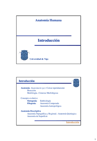 Diapositivas-Introduccion-D.pdf