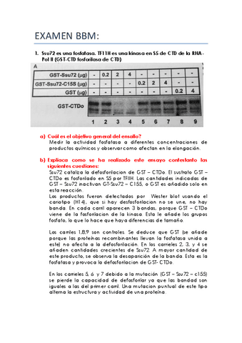 EXAMEN-BBM-2012-2013.pdf