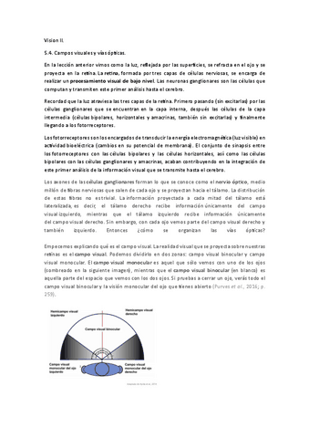 Tema-5-Vision-II.pdf