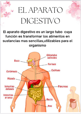 resumen-2o-trimestre.pdf