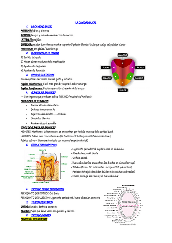 LA-CAVIDAD-BUCAL.pdf