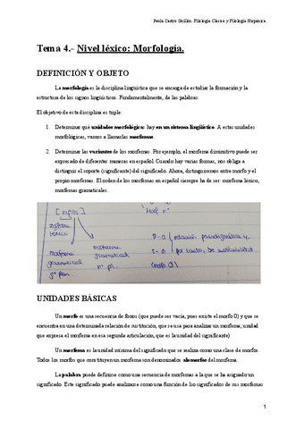 Tema 4: NIvel léxico: Morfología.pdf