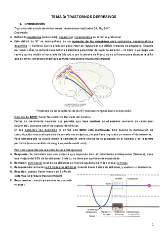 TEMA-3.pdf