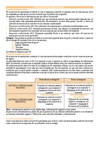 Principios-de-aprendizaje.pdf