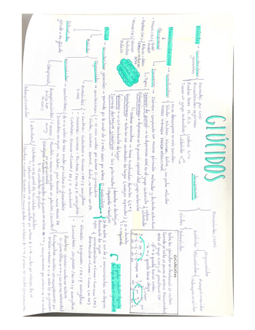 GLUCIDOS.pdf