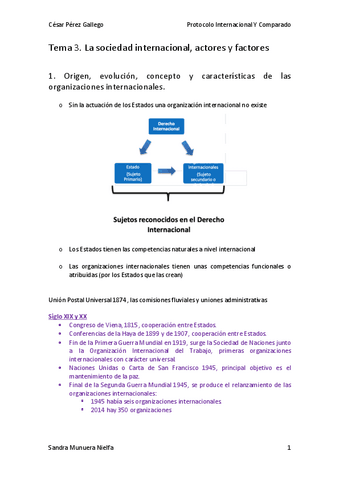 tema-3-prot-internacional.pdf