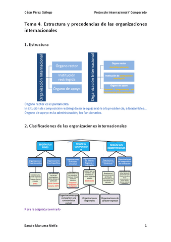Tema-4-p.internacional.pdf