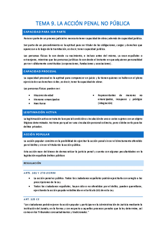 T9-La-accion-penal-no-publica.pdf