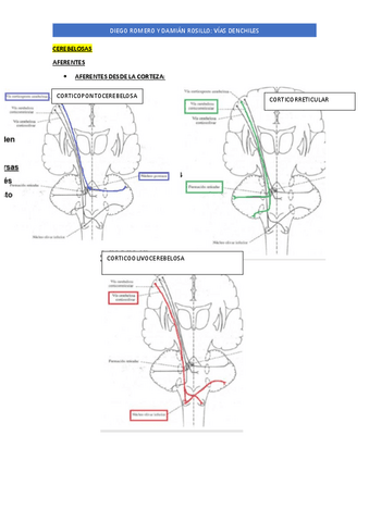 VIAS-NEURO-A-COLOR.pdf