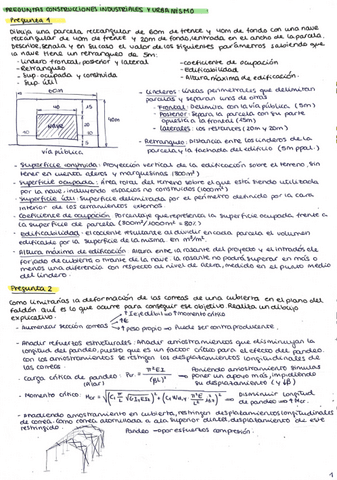 Preguntas-CIU.pdf