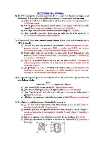Respuestas-a-examenes-EBAU.pdf