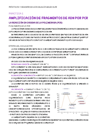 PRACTICA-2-BM.pdf