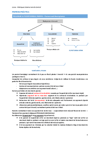 Practiques-SNC.docx.pdf
