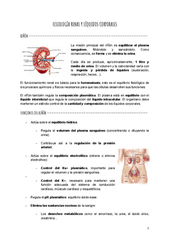 Fisiologia-renal.pdf