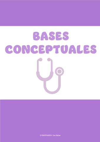 Bases-conceptuales.pdf
