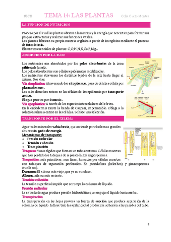 LA-FUNCION-DE-NUTRICION-REPRODUCCION-Y-RELACION-DE-LAS-PLANTAS.pdf