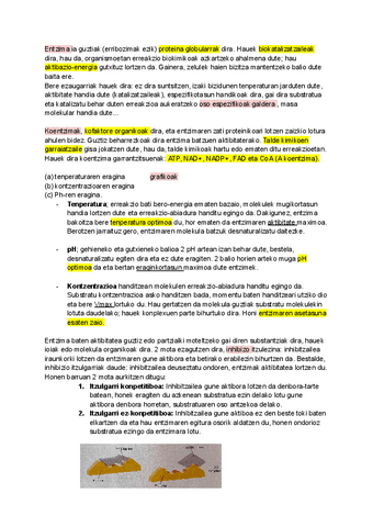 9.-gaia-metabolismoa-seleko-galderetan-oinarrituta-.pdf