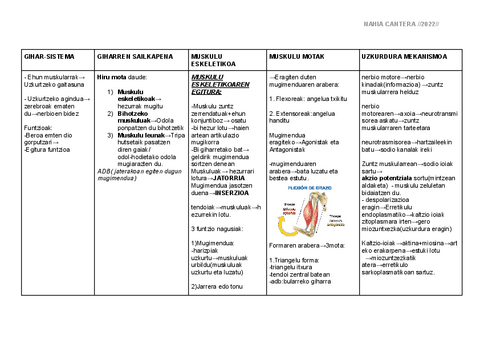 GIHAR-SISTEMA.pdf