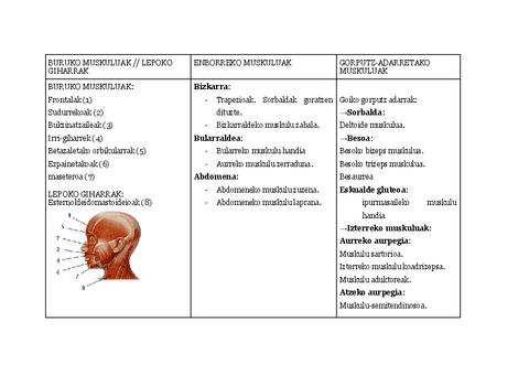 GIHAR-SISTEMA.pdf