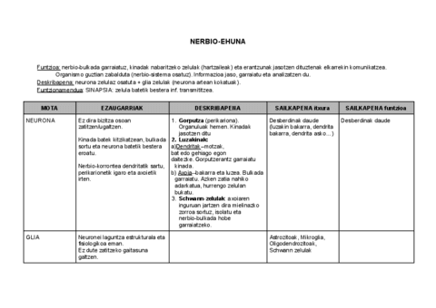 4.-NERBIOEHUNA-fitxategiaren-kopia.pdf