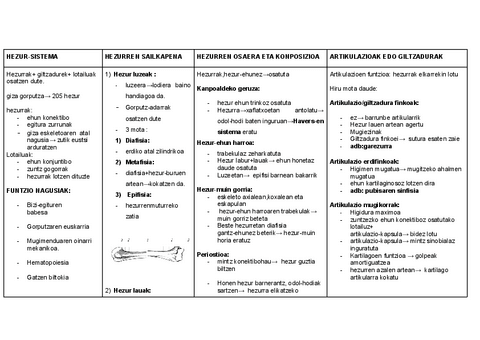 HEZUR-SISTEMA.pdf