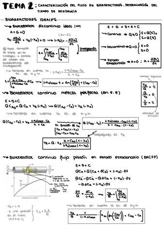 Tema-2-BR.pdf