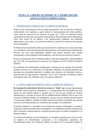 Tema-13.-Libertad-Sindical-y-Derecho-Asociacion-Empresarial.pdf