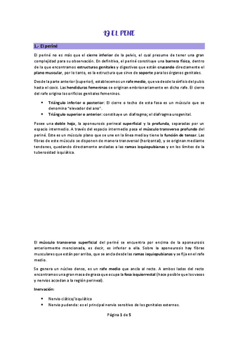 tema-19.pdf