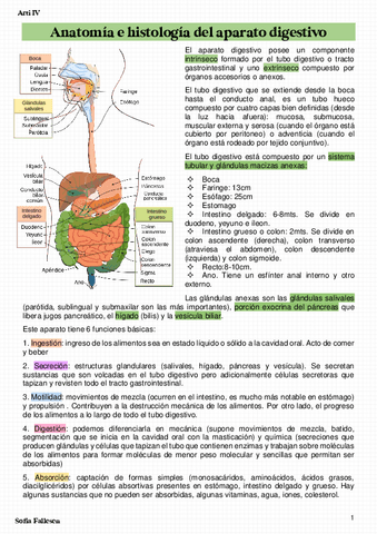 Anatomia-e-histologia-normal-del-aparato-digestivo.pdf