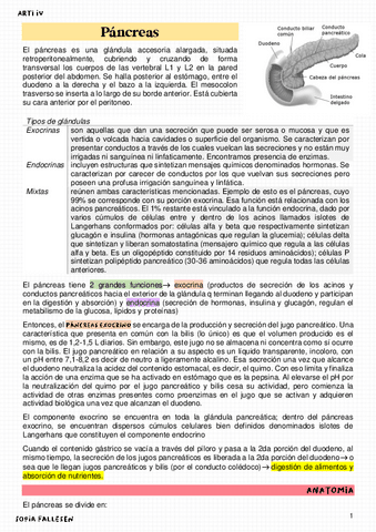 Pancreas.pdf
