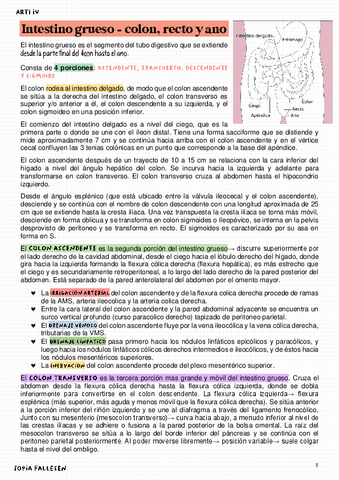 Colon.pdf