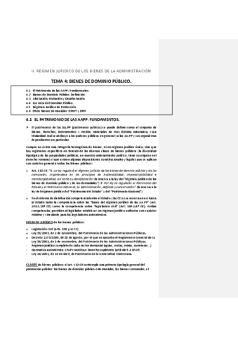 TEMA-4-BIENES-DE-DOMINIO-PUBLICO.pdf