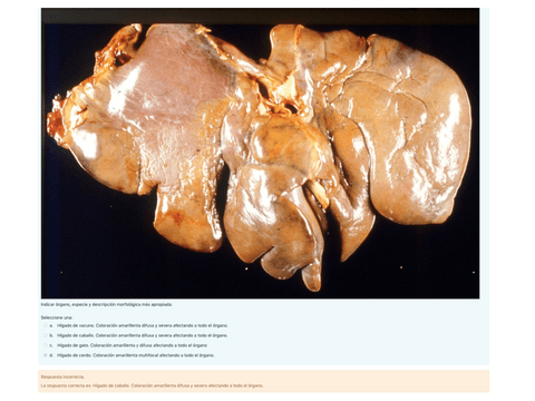 ejercicio-online-2-21-22.pdf
