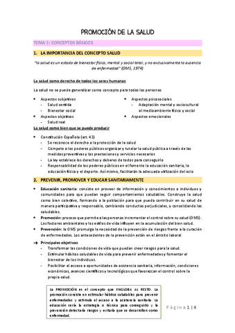 TEMA-1.pdf