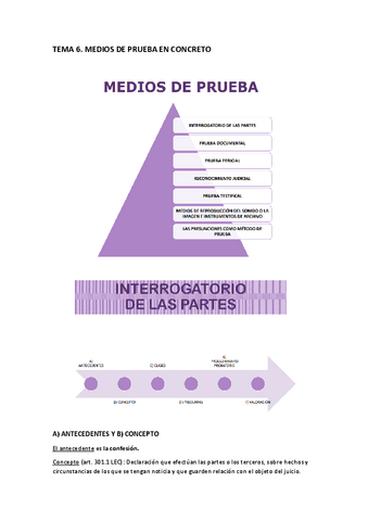 TEMA-6-MEDIOS-DE-PRUEBA-I.pdf