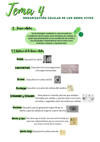Biología Mitosis-Meiosis 4 Eso.pdf