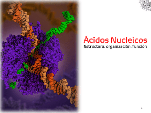 Acidos-Nucleicos-1.pdf